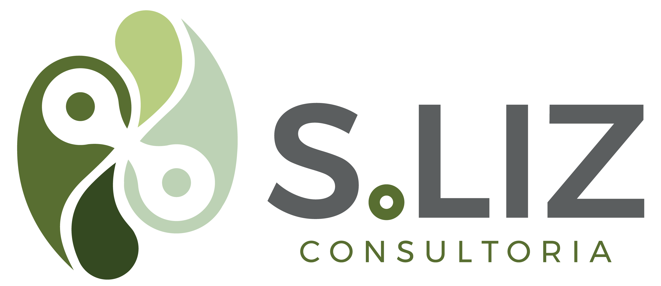 Logo – Sliz Consultoria